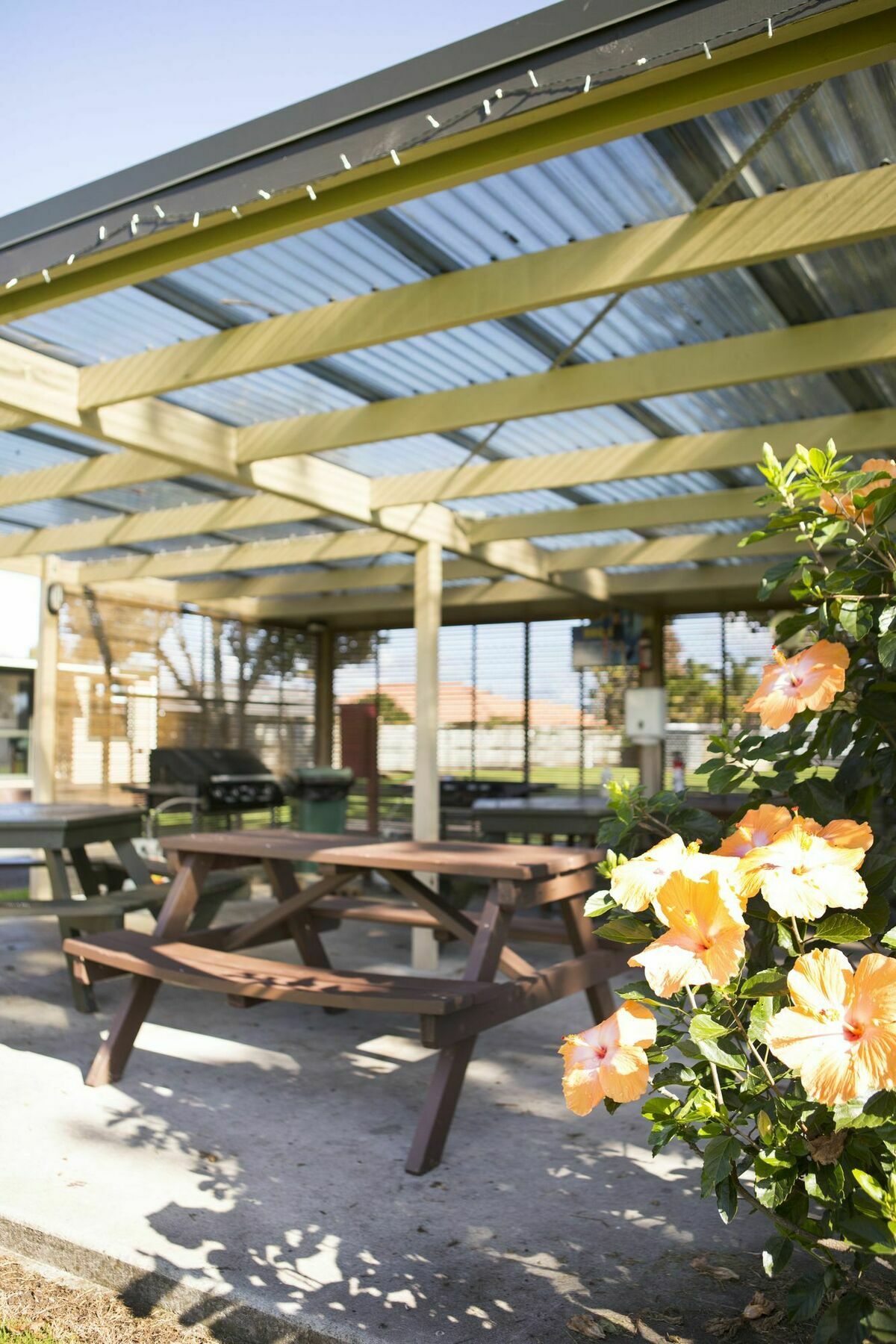 Mercury Bay Holiday Park Whitianga Exteriér fotografie